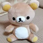 momoの画像