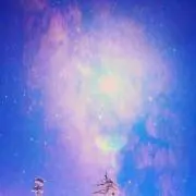 ゆーの画像