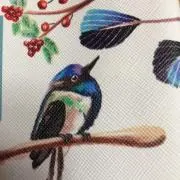 オオルリの画像