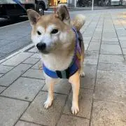naokiの画像