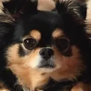ナタリ～☆の画像