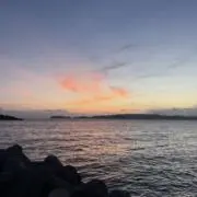 tkの画像