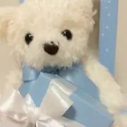aicaの画像