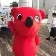 バーチーの画像