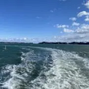 シン(プロフ必読)