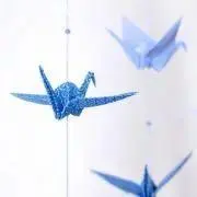 l'oiseau bleuの画像