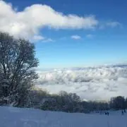 むりおの画像