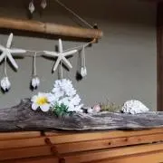 ミモザ