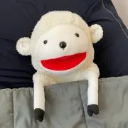 ラムさんの画像