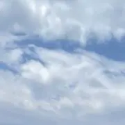 taku