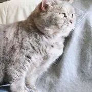 みのの画像