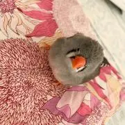 まみ~