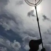 ケロポン☆の画像