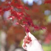 みかの画像