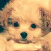ひかる♡プロフィール必読♡