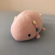 うぱるぱの画像
