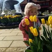 NENEの画像
