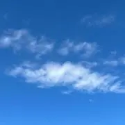 まるこの画像