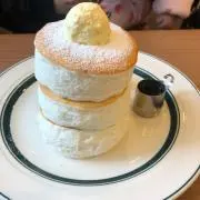 シロクマ