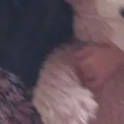 もふ  ̫の画像