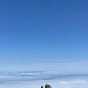 パパイヤ