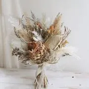 もも