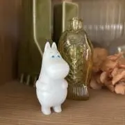 fuuの画像