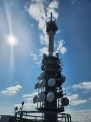 コロポックルの画像