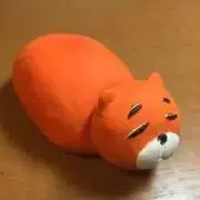 こんぶの画像