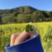 aの画像