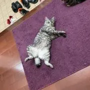 さおりん