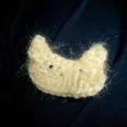 Noaの画像