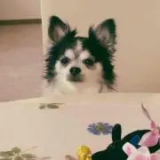 C＊＊プロフ見て下さいの画像