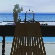 hachiの画像