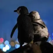 かじゅ☆