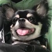 メアミー^_^