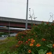 長や