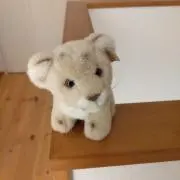 コーヒーの画像