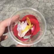 ♡りんりん♡即購入大歓迎の画像