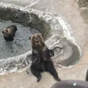 くまざわの画像
