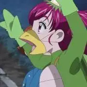 ウサギの画像