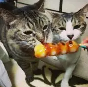 miの画像