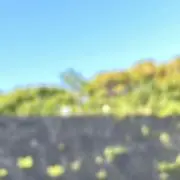 さかもとの画像