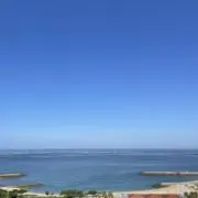 ぽりん⭐︎の画像