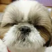 Tom✩