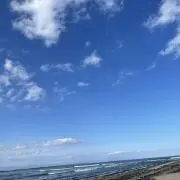 こーんちゃす。の画像