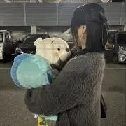 遥陽