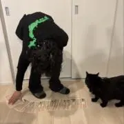 brrrrrrの画像