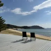 yの画像