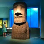 Amiの画像